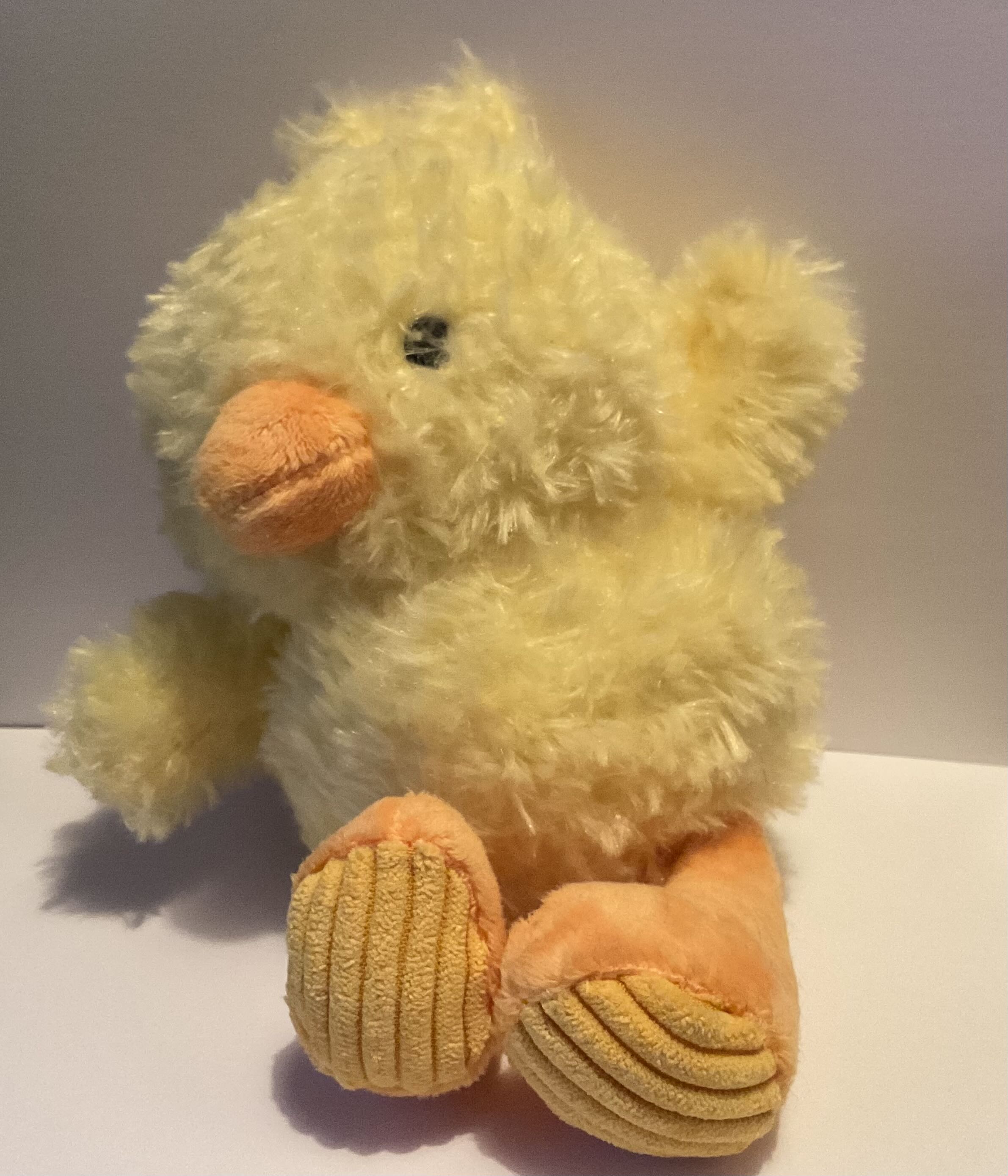 A chicken plushie my family got during easter as a present from my grandma.