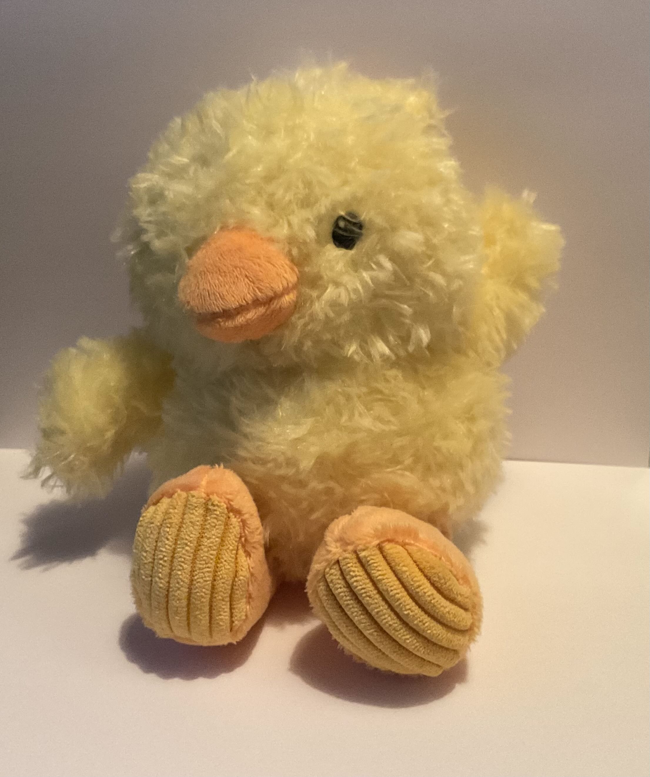 Front facing chicken plushie.