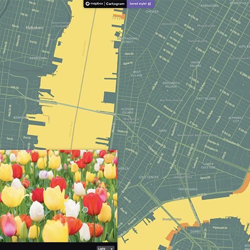 The Cartogram palette of the flower image I found on google.