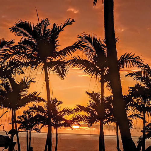 An image of a beach found on google used in Cartogram to create the orange map palette.